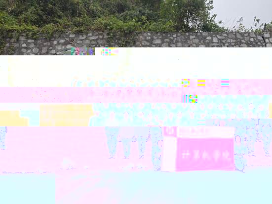 說明: IMG_256